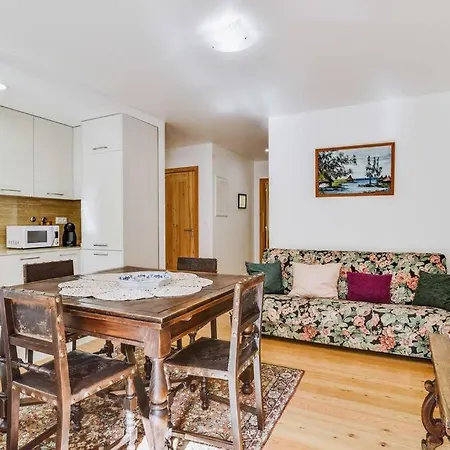 Typical Portuguese In The City Center Apartment *