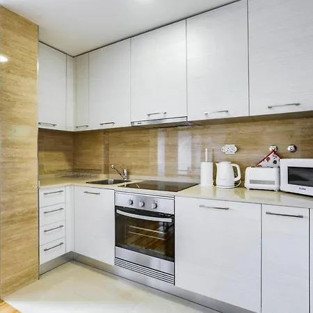Typical Portuguese In The City Center Apartman *