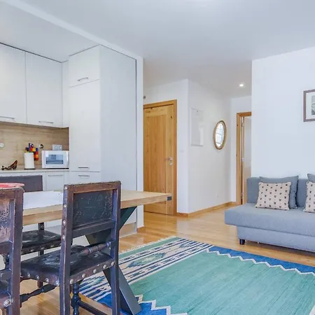Typical Portuguese In The City Center Apartman *